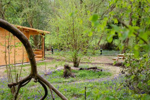 Grey Owl Cabin