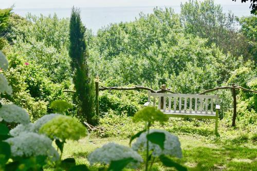 Old Park, Ventnor