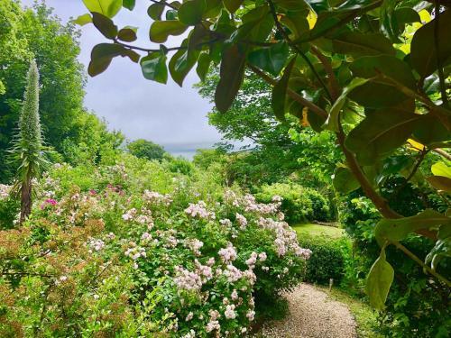 Old Park, Ventnor