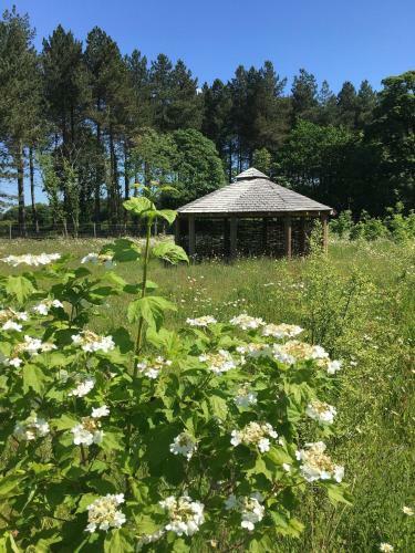 Lodge Hollicarrs - Forest Retreat