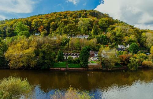 Bed & Breakfast Wye Rapids House