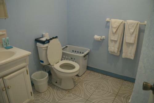 Cool Running Apartments