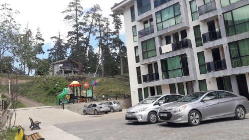 Apartment Bobline