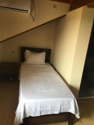 Hostal Mtskheta Wellpoint Arsukidze 48