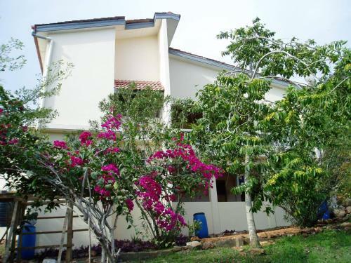Nimohs Holiday Home