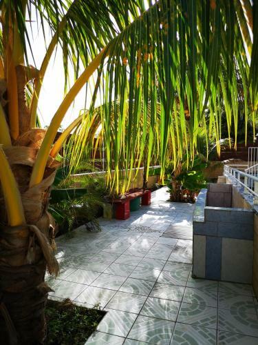 Hostal Villa Pistaches