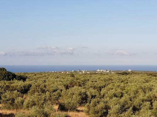 Anaroussa Diros Maisonette