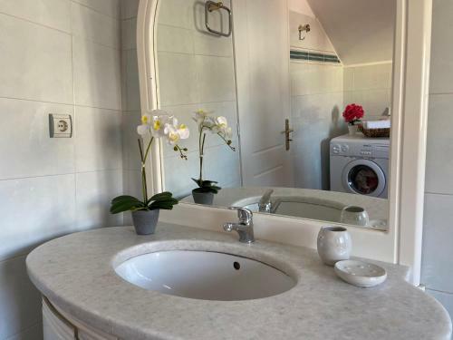 Apartamento Lithostroto Suites
