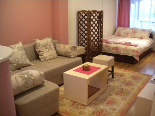 Hostal Orhidea House