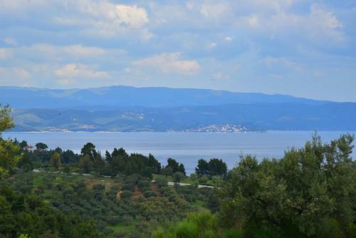 Athina Luxury Apartments