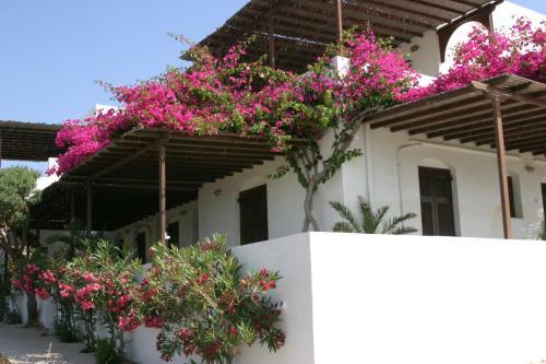 Hostal Cyclades Rooms