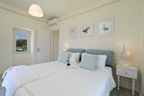 Villa Andromahi