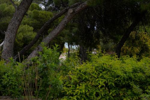 Villa Cavo Paradiso