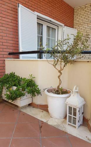 Hotel Elpida Studios