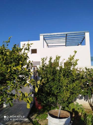 Apartamento Michail Suites Afiartis Karpathos