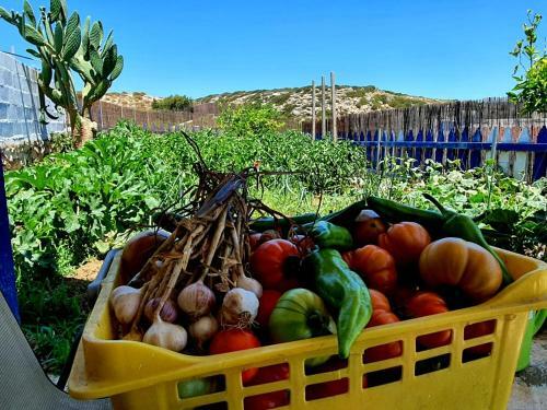 Apartamento Sophid Studio Amoopi - Karpathos