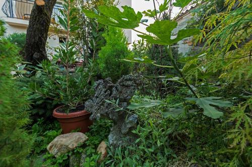 Hostal Bitrak Guest House