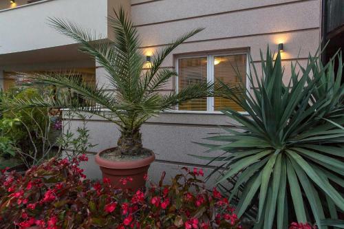 Hostal Bitrak Guest House