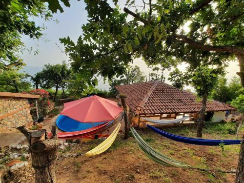 Hostal Robinson Sunset Guest House
