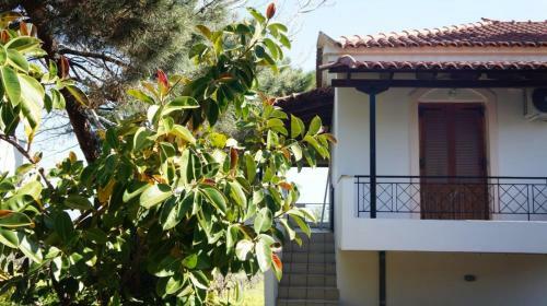 Agroturismo Anastasia Apartments