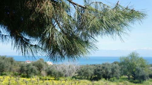 Agroturismo Anastasia Apartments