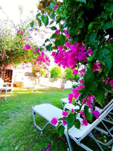 Apartamento Rafaella Maisonette