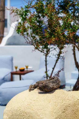 Bed & Breakfast Pasithea Suites