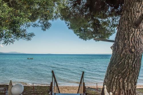 Hostal Citro By The Sea