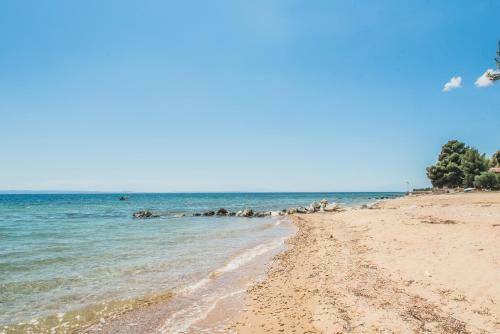 Hostal Citro By The Sea