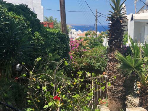 Bed & Breakfast Rania Apartments Sea View