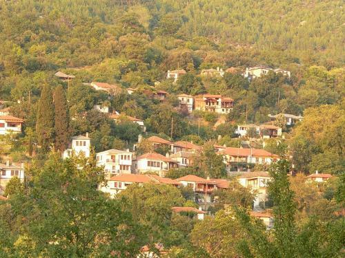 Hotel Tsigoura Thassos