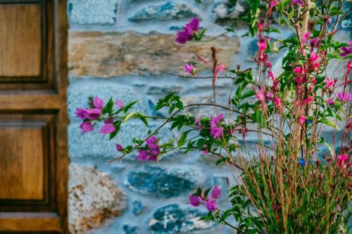 Hostal Adama Villas & Guesthouses