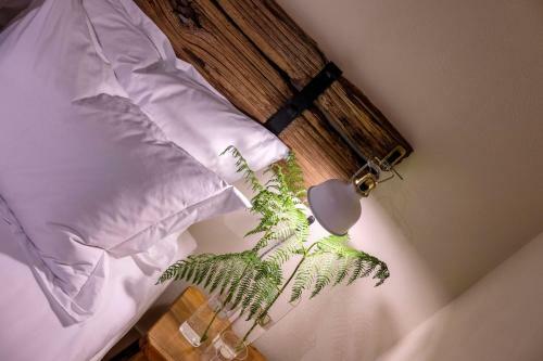 Hostal Adama Villas & Guesthouses