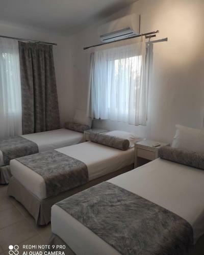 Bed & Breakfast Muses Deluxe Apartments