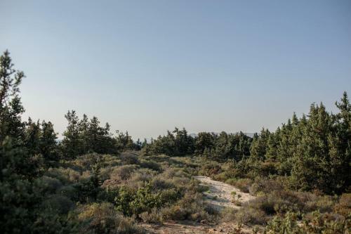 Villa Cedar Forest Alyko