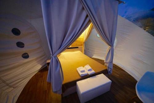 Bubble Suites
