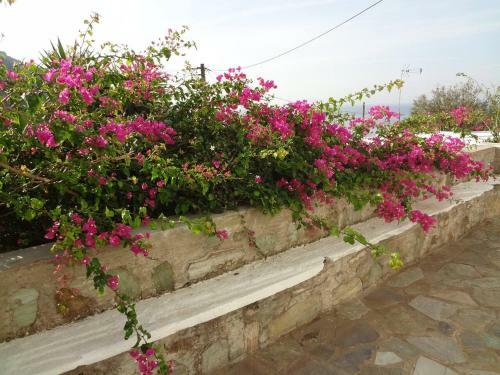 Old Stone Villa Palaiopolis Andros