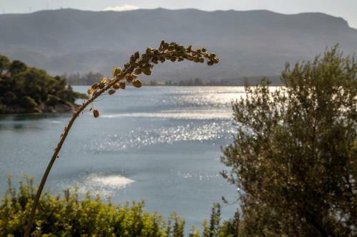 Kalavria Luxury Suites