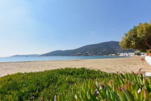 Miles Away Sifnos - Beachfront House