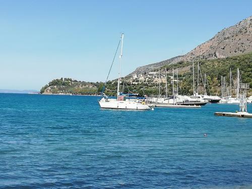 Hostal Plataria Palace