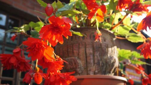 Hostal Pas Birute