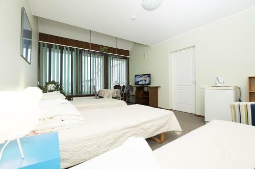 Hostal Guest House Drusva