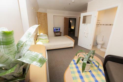 Hostal Guest House Drusva