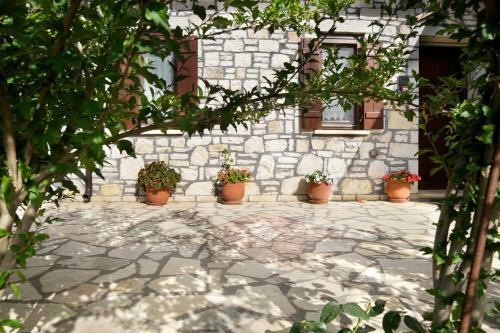 Villa Koutsoypia Stone House