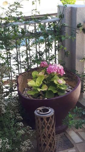 Apartamento Kate-mari House