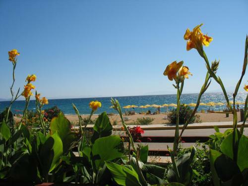 Tara Beach Hotel