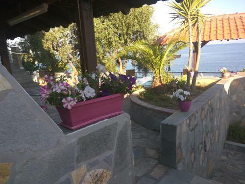 Apartamento Karantola Studios Kallirachi