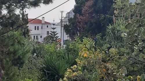 Apartamento Pension Soula