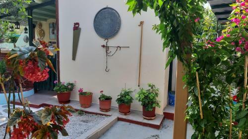 Apartamento Pension Soula