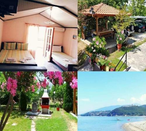Apartamento Skotina Rooms
